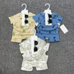 Baby Boys Summer Shirt and Shorts Set