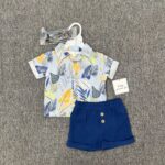 Baby Boys Summer Shirt and Shorts Set