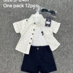 Baby Boy Shirt Shorts T-Shirt Sunglasses Set
