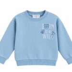 boy blue top